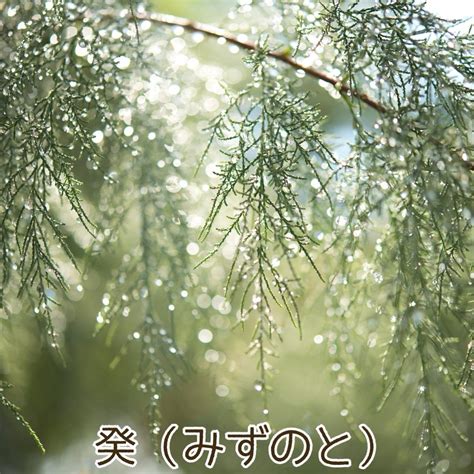 水の陰 性格|癸(みずのと/キ)の意味、解釈は？性格、恋愛傾向、適職